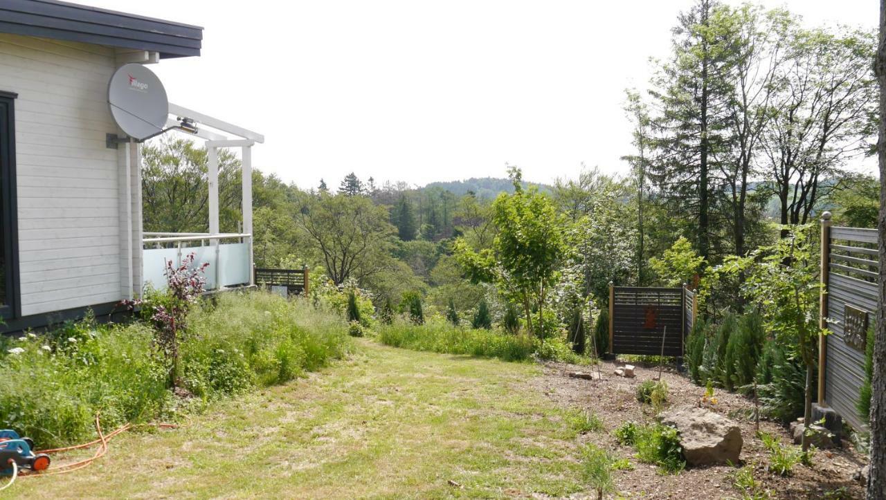 Blockhaus Kik Im Harz Villa Sankt Andreasberg Dış mekan fotoğraf
